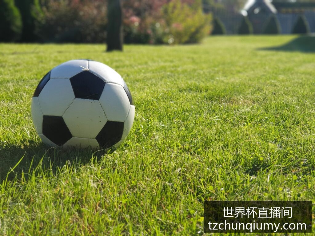 年世界杯亚,洲区预选赛,小组赛首战,世界杯直播间官网,世界杯直播间,赛事直播,安装指引,使用教程,观看体验,体育盛事,便捷入口
