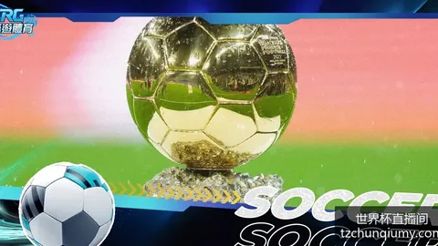 2026年世界杯门，赛事直播，票预订已开启，球迷可享多种购票方式
